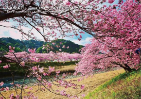 Kawazu Log House
